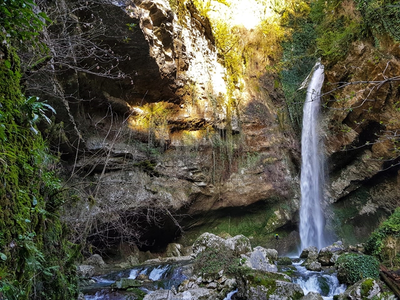 Адлер пасть дракона фото